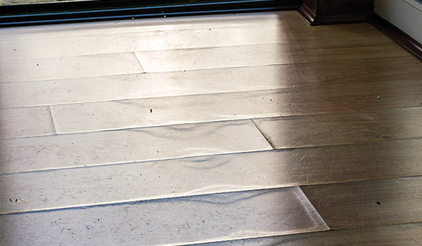 Sols Stratifiés Résistants à L Eau, How To Clean Pergo Max Floors